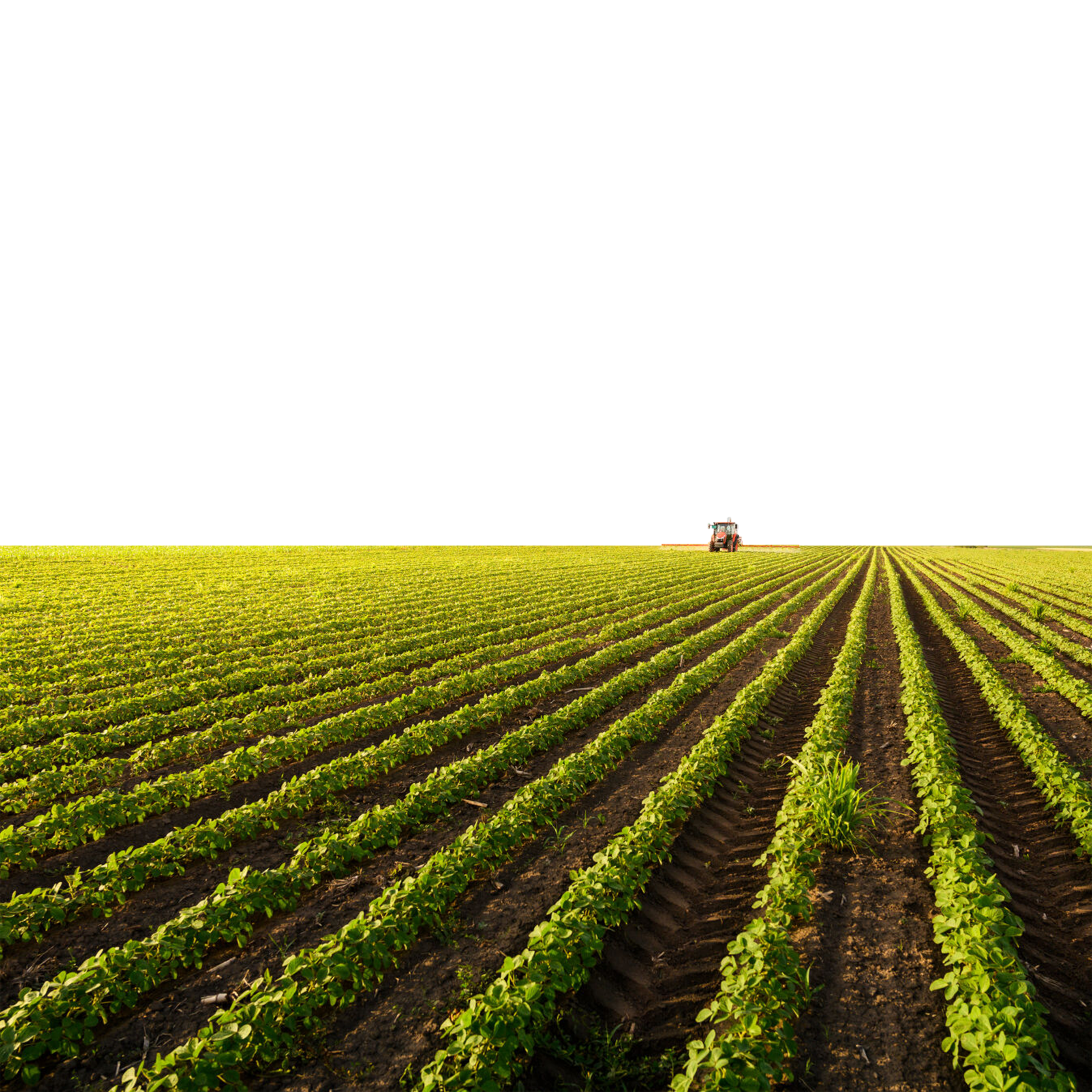 Agriculture