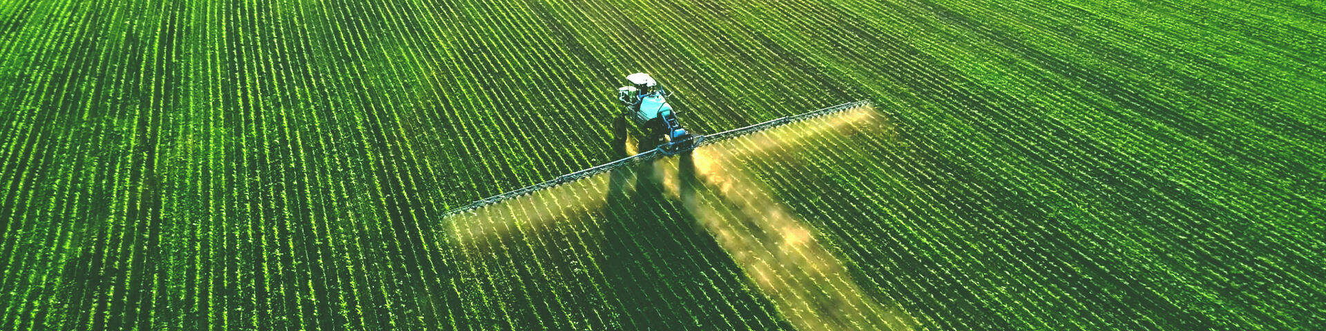 tractor spraying on field