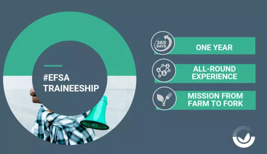 Traineeship webinar 2023