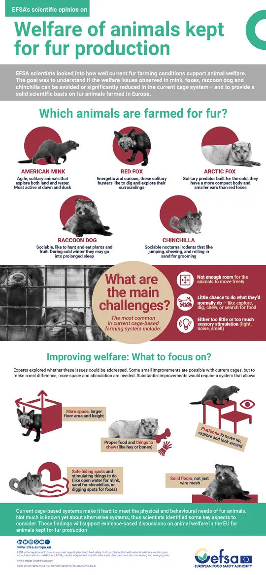 infographic on the welfare of animals farmed for fur
