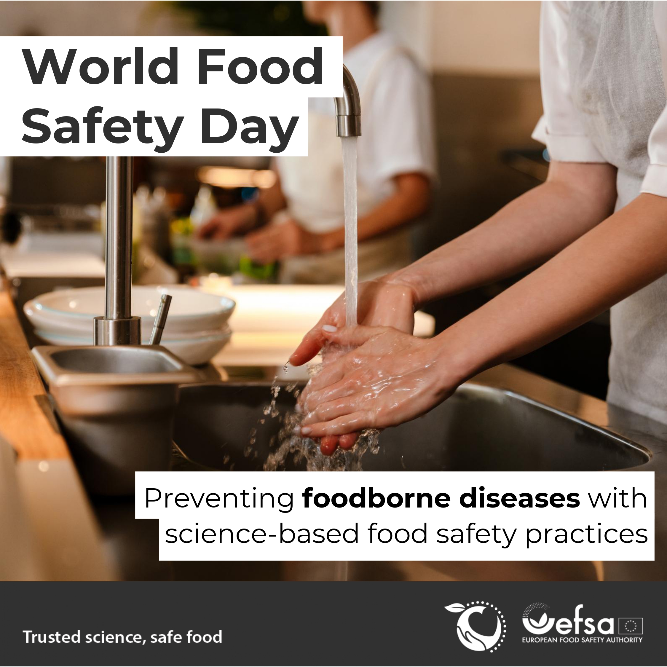 World Food Safety Day - Preventing foodborne diseases with science-based food safety practices