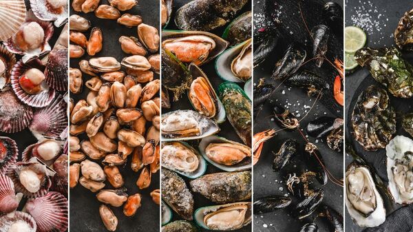 sea food and mussles