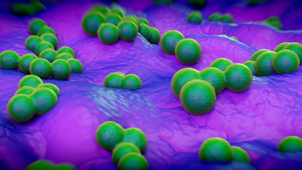 Illustration of Staphylococcus aureus (MRSA) bacteria