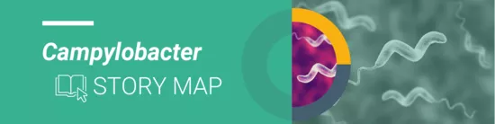 campy-storyboard-banner.png Campylobacter story map