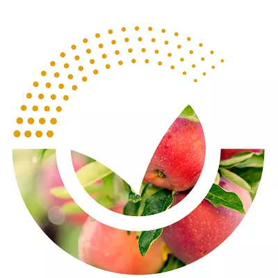 Logo with apples in the background
