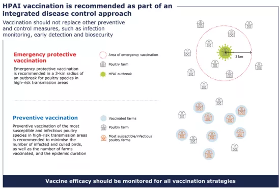 vaccination-of-poultry-pls.png