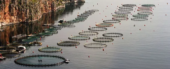 Fish farm