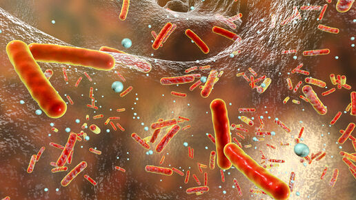 Ancora alti i livelli di resistenza nei batteri che provocano infezioni  alimentari | EFSA