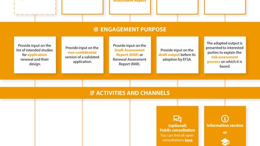 Engagement windows in the life cycle of an application