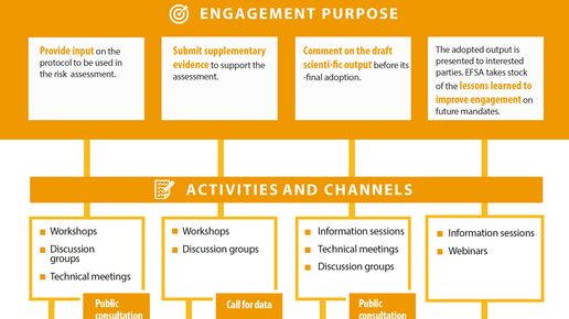 Engagement windows in the life cycle of a mandate