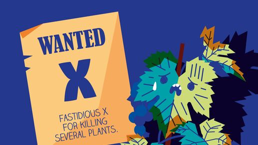 Xylella comic cover, plant with wanted poster "Fastidious x for killing several plants"