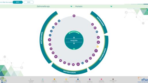 Antimicrobial resistance in Europe