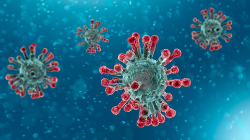 Coronavirus: non ci sono prove che il cibo sia fonte o veicolo di  trasmissione | EFSA