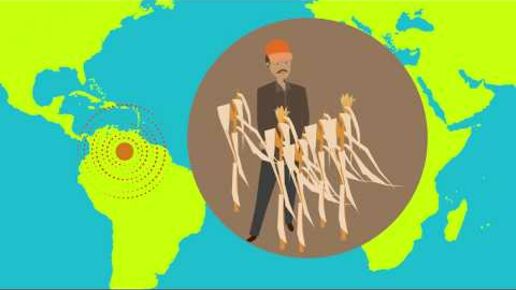 Risk Assessment of Mycotoxins - Stimulating research and data collection