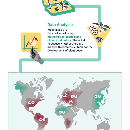 climate suitability infographic