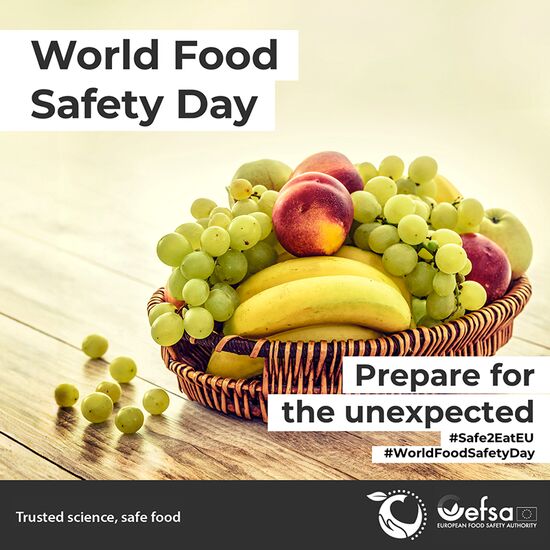 world food safety day visual