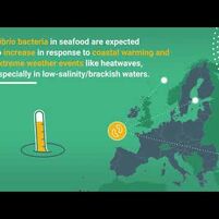 Climate change and Vibrio bacteria in seafood