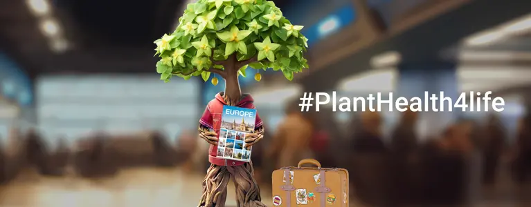 banner plh4l campaign