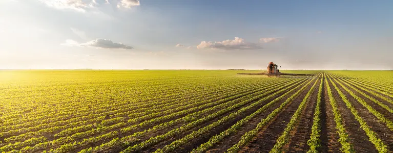 Pesticides