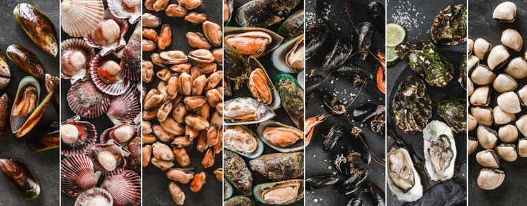 sea food and mussles