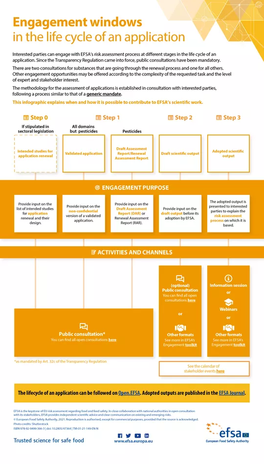 Engagement windows in the life cycle of an application