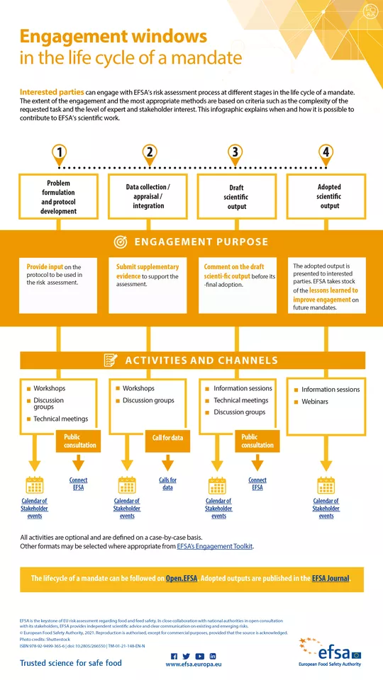Engagement windows in the life cycle of a mandate