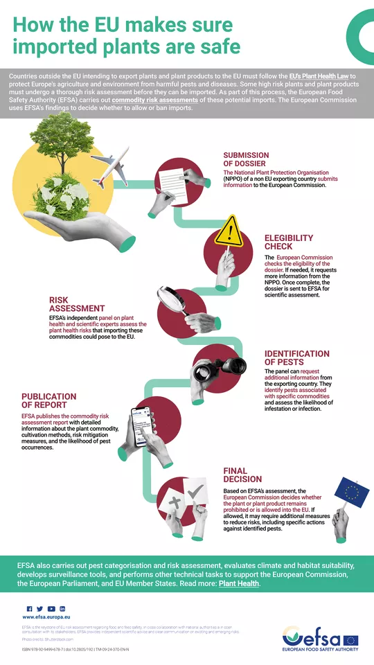 How the EU makes sure imported plants are safe