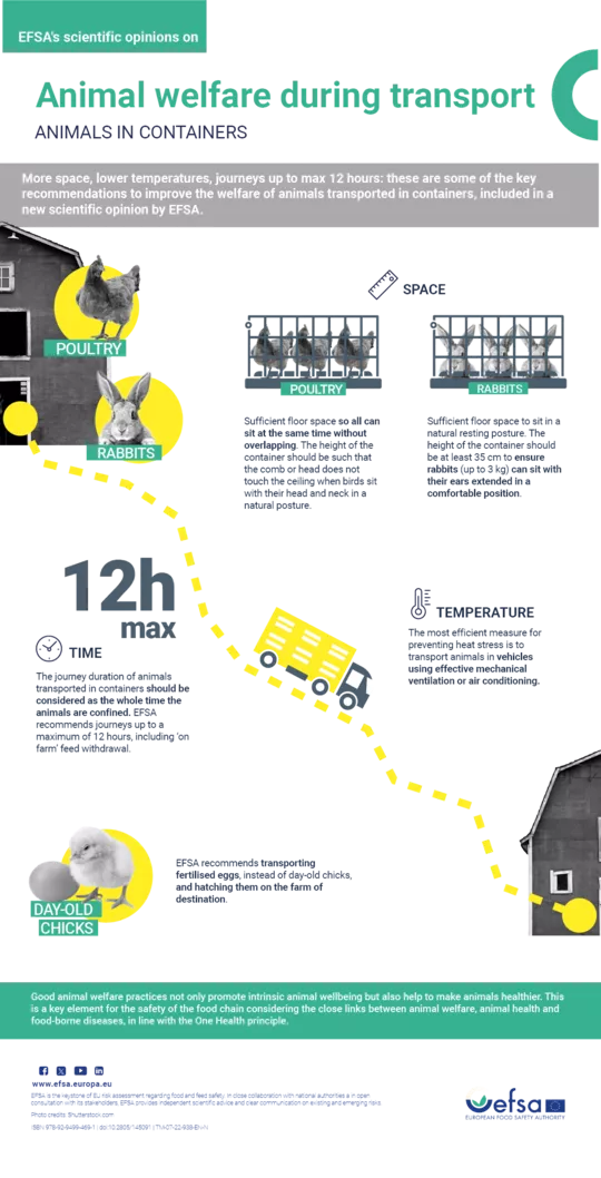 Infographic on animal welfare during transport