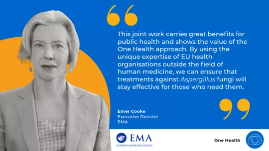 Emer Cooke, EMA’s Executive Director