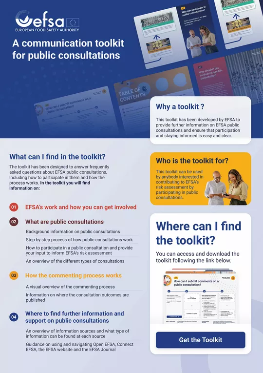 infographic public consultations toolkit