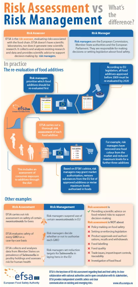 Risk Assessment Vs Risk Management Infographic