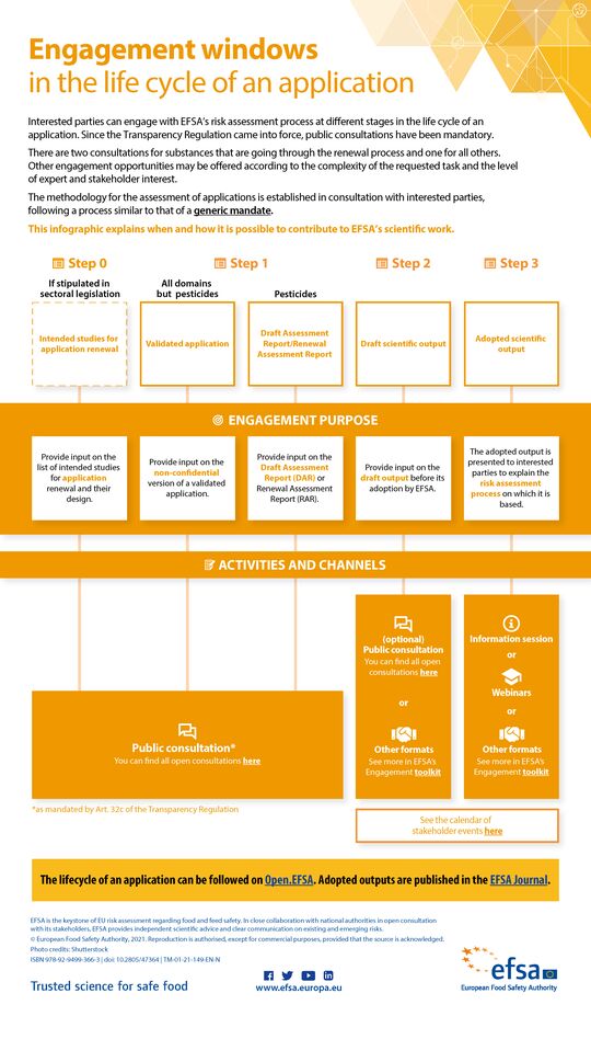 Engagement windows in the life cycle of an application